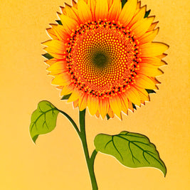 Golden Sunflower Bouquet Wrapped in Red Ribbon Pop Cards 3D Pop Up Greeting Card Happy Birthday Thank You Handmade Gift Thinking of You Blank Card for Any Occasion Happy Mother's Day Happy Father's Australiana Celebrate the Beauty of Flower