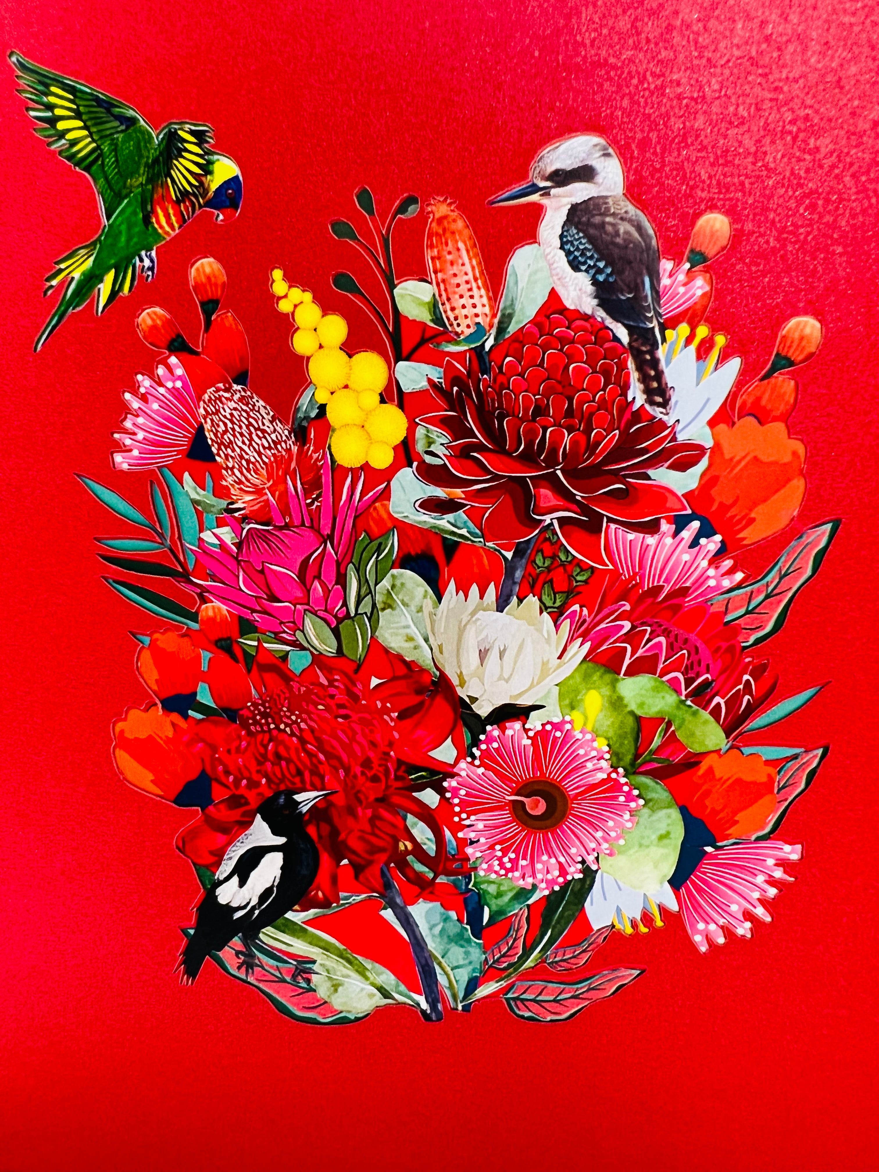 Gorgeous Australian Native Garden & Birds Origami Pop Cards 3D Pop Up Greeting Card Celebrate Happy Birthday Thank You Handmade Best Wishes Gift Thinking of You Blank Card for Any Occasion Happy Mother's Day Happy Father's Day Australiana