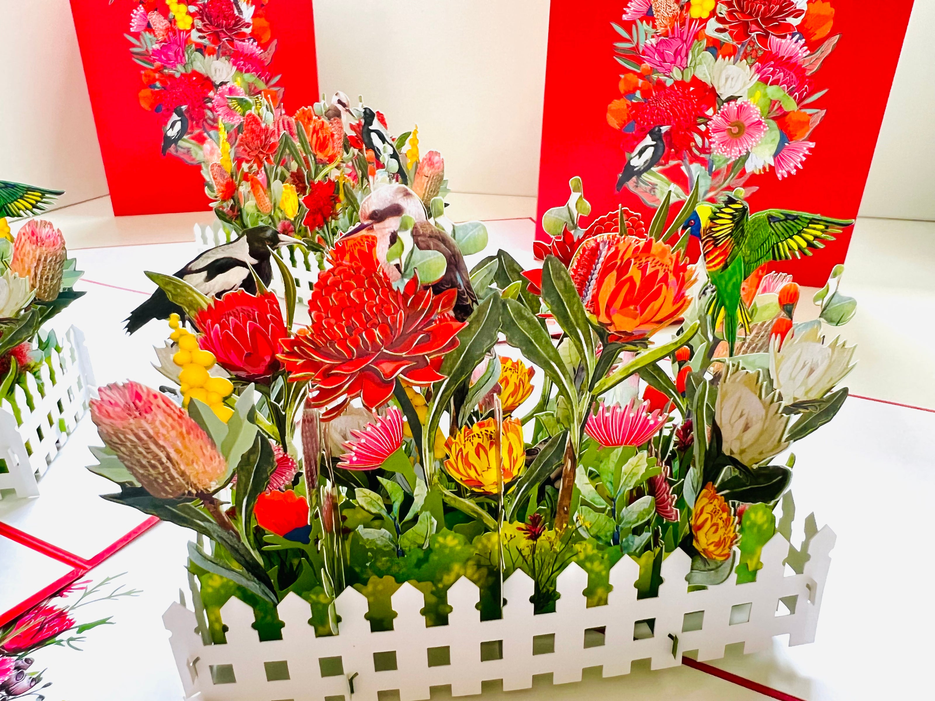 Gorgeous Australian Native Garden & Birds Origami Pop Cards 3D Pop Up Greeting Card Celebrate Happy Birthday Thank You Handmade Best Wishes Gift Thinking of You Blank Card for Any Occasion Happy Mother's Day Happy Father's Day Australiana