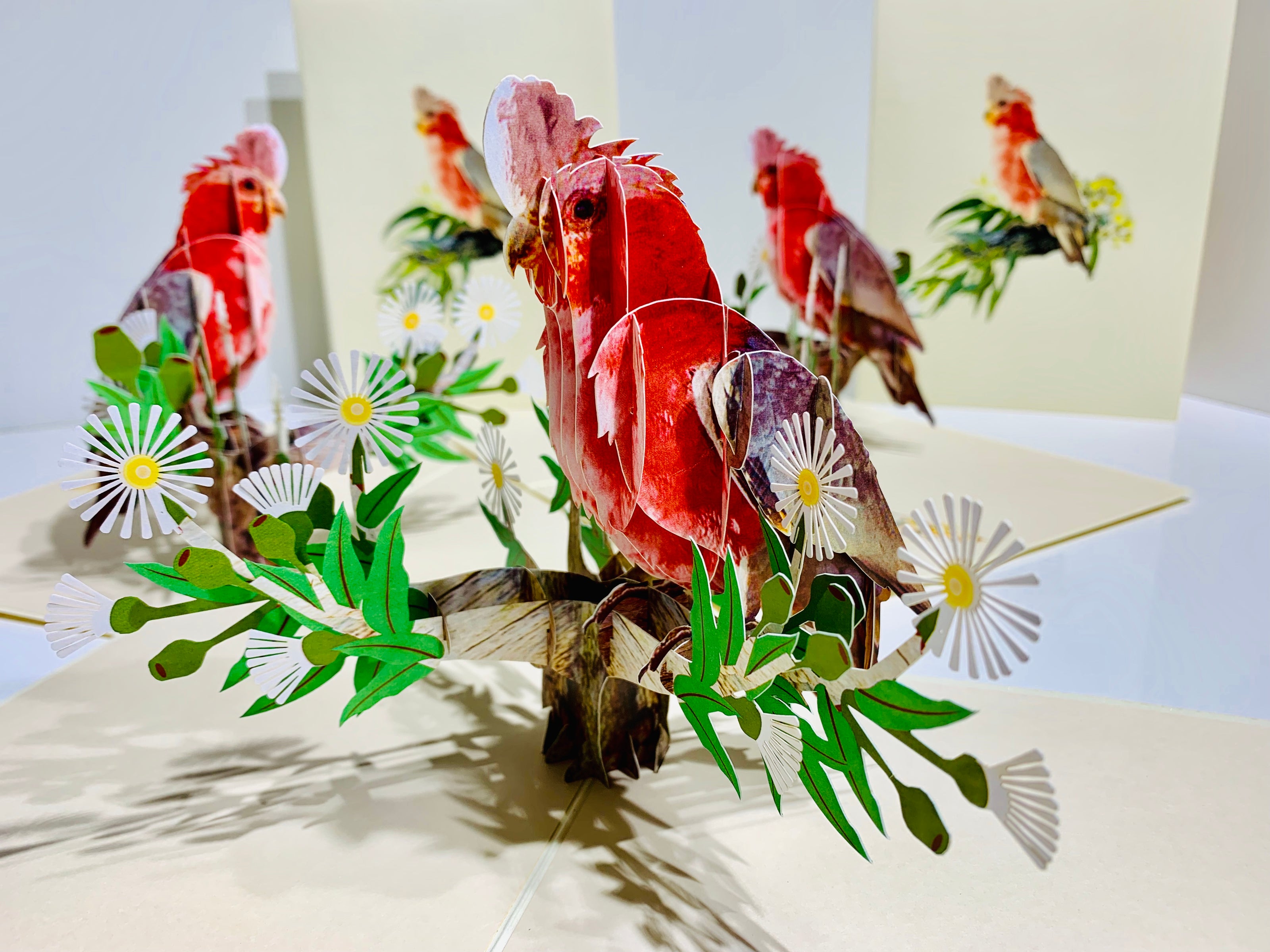 Gorgeous Pink Galah Cockatoo Australian Wild Bird Origami Pop Cards 3D Pop Up Greeting Card Happy Birthday Thank You Handmade Gift Thinking of You Blank Card for Any Occasion Happy Mother's Day Happy Father's Australiana Birds