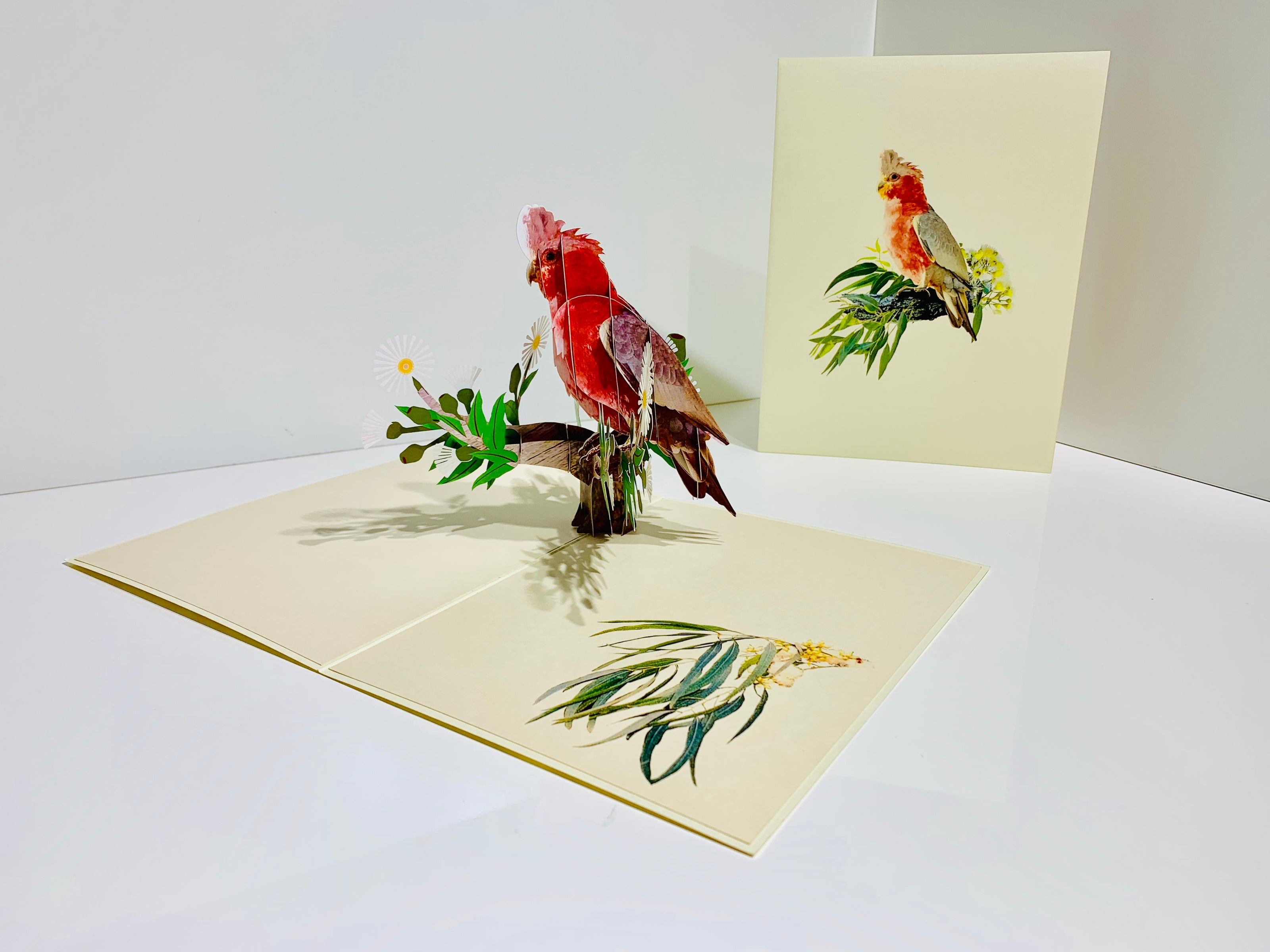 Gorgeous Pink Galah Cockatoo Australian Wild Bird Origami Pop Cards 3D Pop Up Greeting Card Happy Birthday Thank You Handmade Gift Thinking of You Blank Card for Any Occasion Happy Mother's Day Happy Father's Australiana Birds