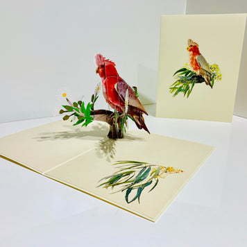 Gorgeous Pink Galah Cockatoo Australian Wild Bird Origami Pop Cards 3D Pop Up Greeting Card Happy Birthday Thank You Handmade Gift Thinking of You Blank Card for Any Occasion Happy Mother's Day Happy Father's Australiana Birds