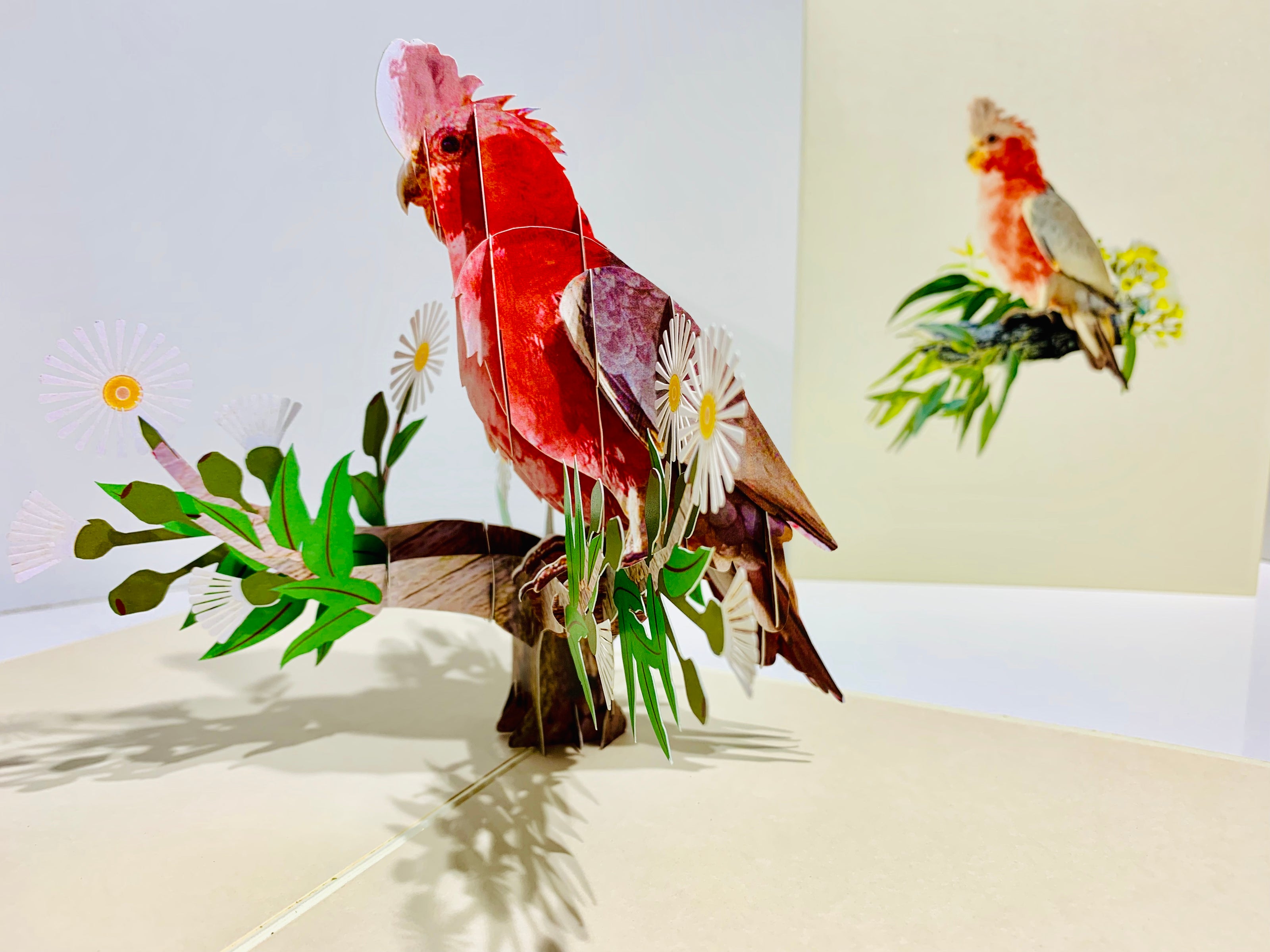 Gorgeous Pink Galah Cockatoo Australian Wild Bird Origami Pop Cards 3D Pop Up Greeting Card Happy Birthday Thank You Handmade Gift Thinking of You Blank Card for Any Occasion Happy Mother's Day Happy Father's Australiana Birds