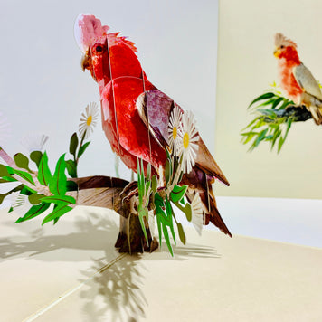 Gorgeous Pink Galah Cockatoo Australian Wild Bird Origami Pop Cards 3D Pop Up Greeting Card Happy Birthday Thank You Handmade Gift Thinking of You Blank Card for Any Occasion Happy Mother's Day Happy Father's Australiana Birds