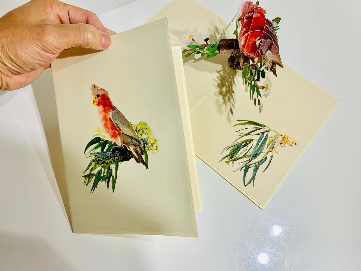 Gorgeous Pink Galah Cockatoo Australian Wild Bird Origami Pop Cards 3D Pop Up Greeting Card Happy Birthday Thank You Handmade Gift Thinking of You Blank Card for Any Occasion Happy Mother's Day Happy Father's Australiana Birds
