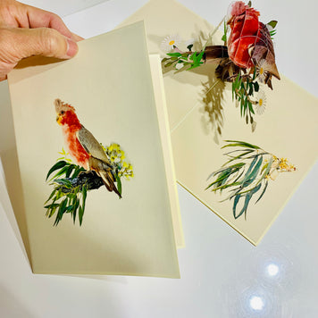 Gorgeous Pink Galah Cockatoo Australian Wild Bird Origami Pop Cards 3D Pop Up Greeting Card Happy Birthday Thank You Handmade Gift Thinking of You Blank Card for Any Occasion Happy Mother's Day Happy Father's Australiana Birds