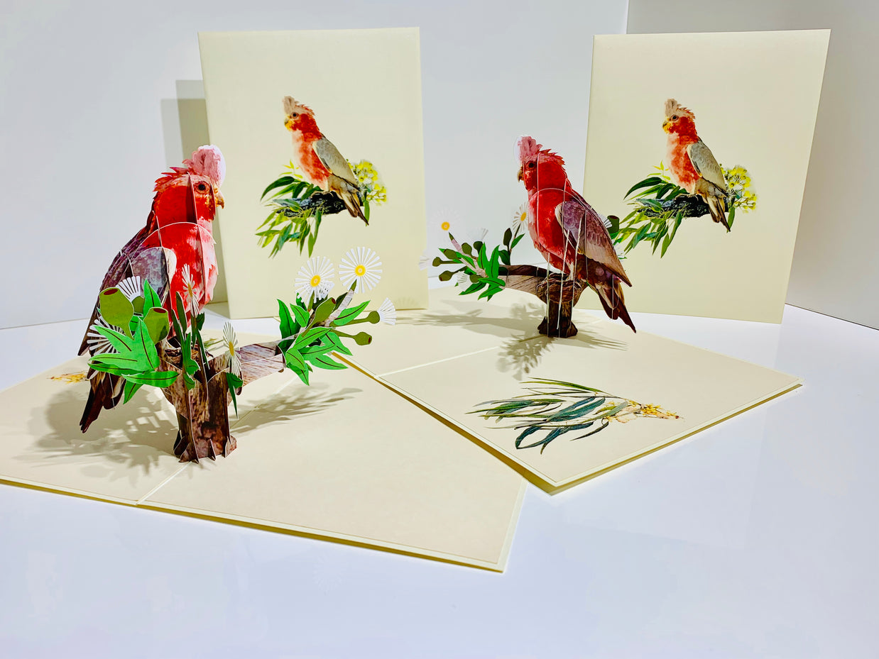 Gorgeous Pink Galah Cockatoo Australian Wild Bird Origami Pop Cards 3D Pop Up Greeting Card Happy Birthday Thank You Handmade Gift Thinking of You Blank Card for Any Occasion Happy Mother's Day Happy Father's Australiana Birds