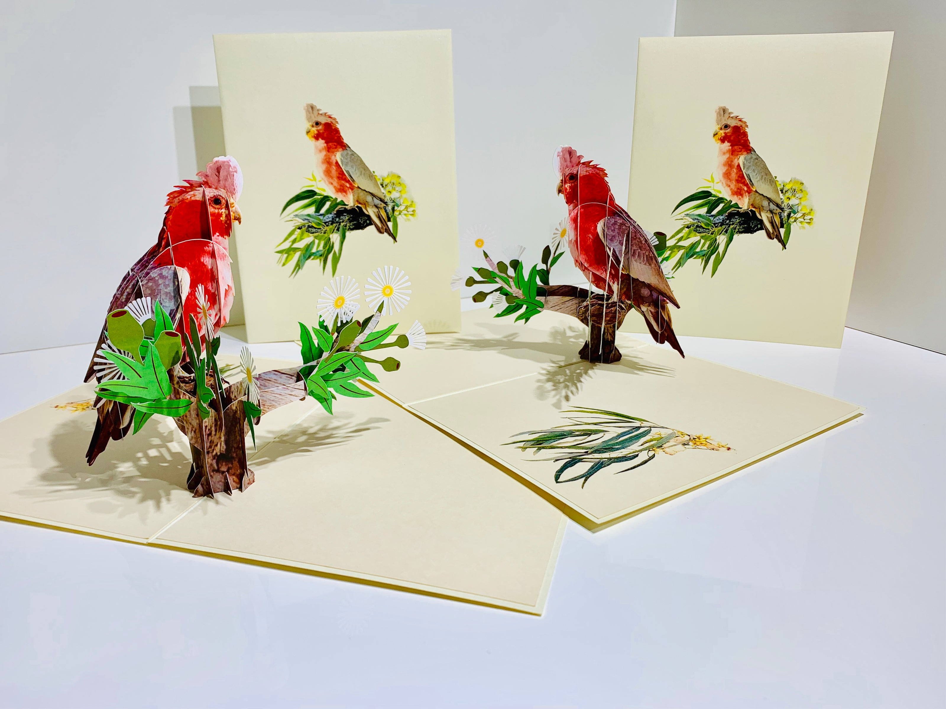 Gorgeous Pink Galah Cockatoo Australian Wild Bird Origami Pop Cards 3D Pop Up Greeting Card Happy Birthday Thank You Handmade Gift Thinking of You Blank Card for Any Occasion Happy Mother's Day Happy Father's Australiana Birds