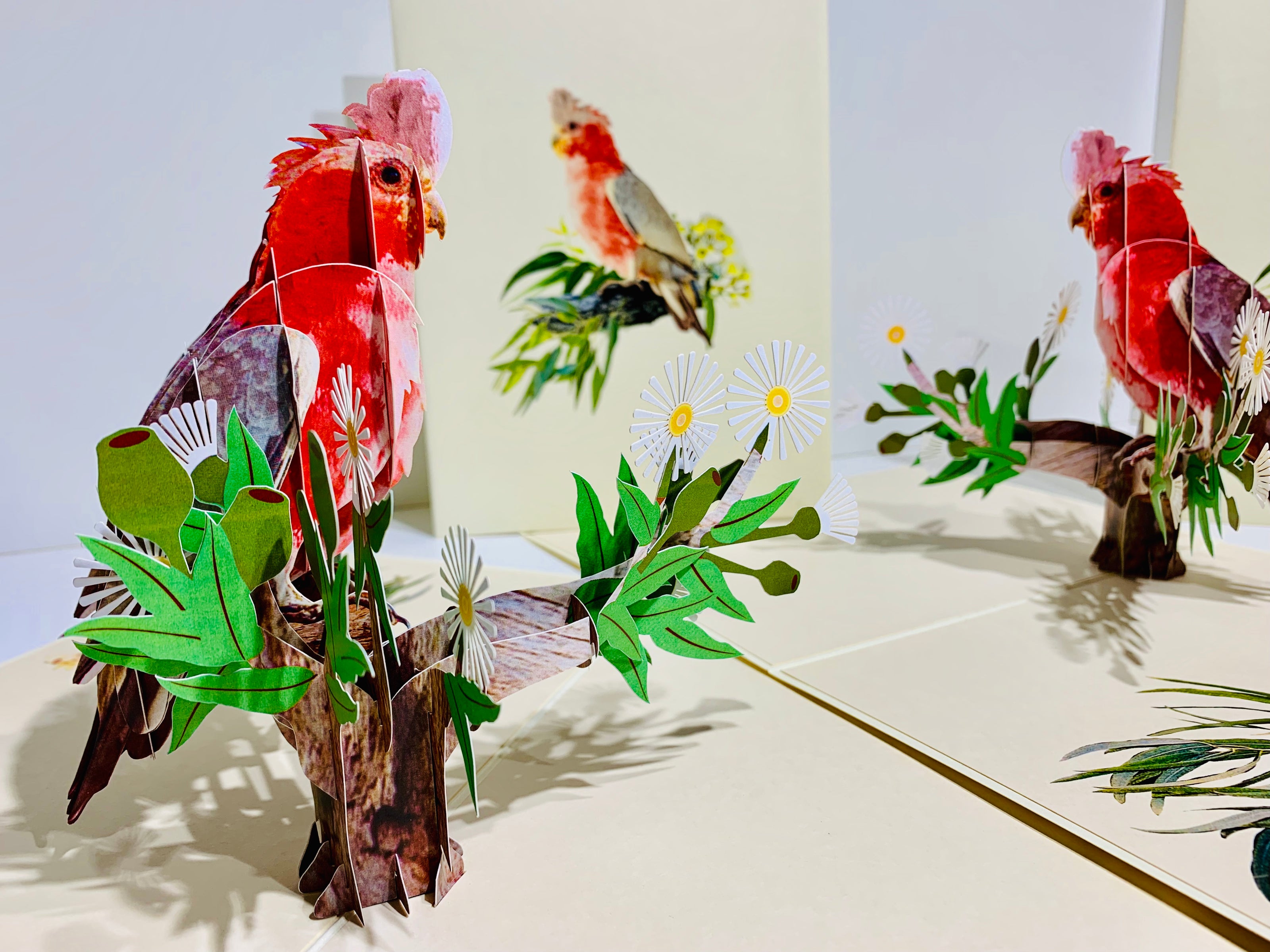 Gorgeous Pink Galah Cockatoo Australian Wild Bird Origami Pop Cards 3D Pop Up Greeting Card Happy Birthday Thank You Handmade Gift Thinking of You Blank Card for Any Occasion Happy Mother's Day Happy Father's Australiana Birds