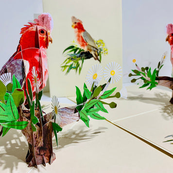 Gorgeous Pink Galah Cockatoo Australian Wild Bird Origami Pop Cards 3D Pop Up Greeting Card Happy Birthday Thank You Handmade Gift Thinking of You Blank Card for Any Occasion Happy Mother's Day Happy Father's Australiana Birds