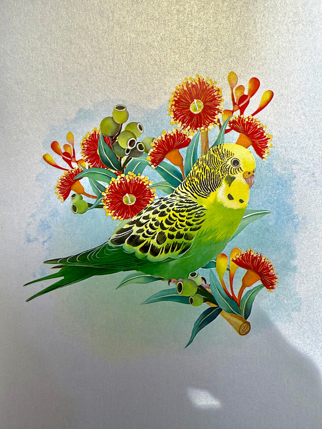 Green & Yellow Budgie with Australian Native Red Gumnut Blossoms Origami Pop Cards 3D Pop Up Greeting Card Celebrate Happy Birthday Thank You Handmade Best Wishes Thinking of You Blank Card Any Occasion Happy Mother's Day Happy Father's Day Australiana