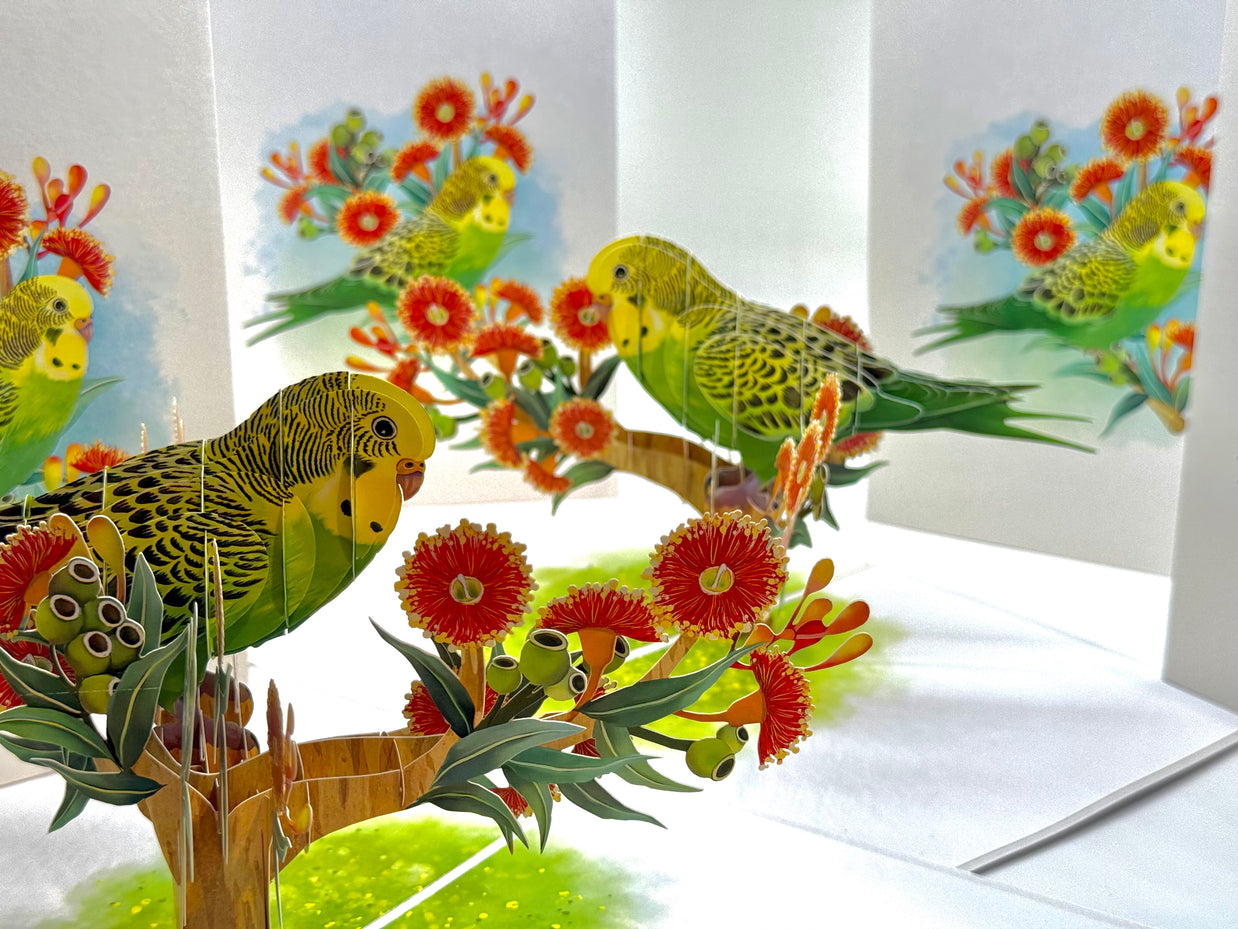 Green & Yellow Budgie with Australian Native Red Gumnut Blossoms Origami Pop Cards 3D Pop Up Greeting Card Celebrate Happy Birthday Thank You Handmade Best Wishes Thinking of You Blank Card Any Occasion Happy Mother's Day Happy Father's Day Australiana