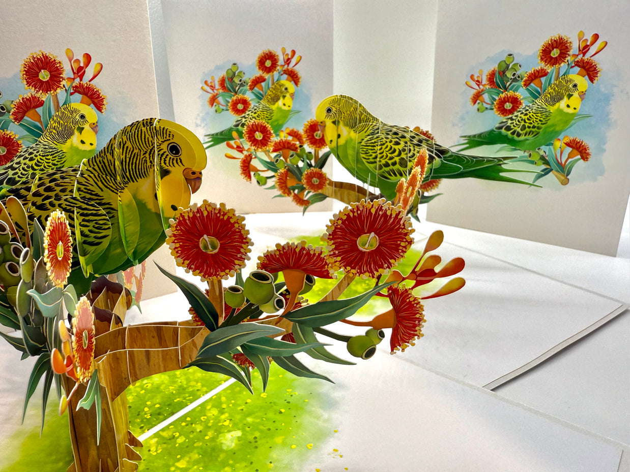 Green & Yellow Budgie with Australian Native Red Gumnut Blossoms Origami Pop Cards 3D Pop Up Greeting Card Celebrate Happy Birthday Thank You Handmade Best Wishes Thinking of You Blank Card Any Occasion Happy Mother's Day Happy Father's Day Australiana