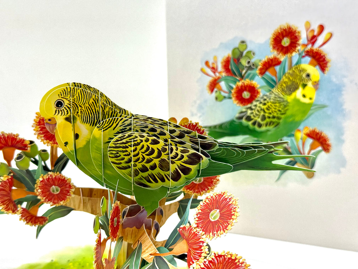 Green & Yellow Budgie with Australian Native Red Gumnut Blossoms Origami Pop Cards 3D Pop Up Greeting Card Celebrate Happy Birthday Thank You Handmade Best Wishes Thinking of You Blank Card Any Occasion Happy Mother's Day Happy Father's Day Australiana
