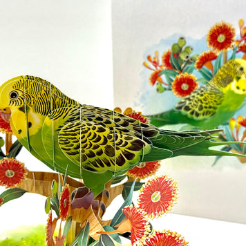 Green & Yellow Budgie with Australian Native Red Gumnut Blossoms Origami Pop Cards 3D Pop Up Greeting Card Celebrate Happy Birthday Thank You Handmade Best Wishes Thinking of You Blank Card Any Occasion Happy Mother's Day Happy Father's Day Australiana