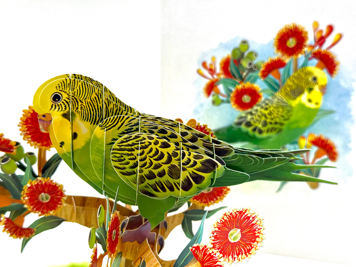 Green & Yellow Budgie with Australian Native Red Gumnut Blossoms Origami Pop Cards 3D Pop Up Greeting Card Celebrate Happy Birthday Thank You Handmade Best Wishes Thinking of You Blank Card Any Occasion Happy Mother's Day Happy Father's Day Australiana