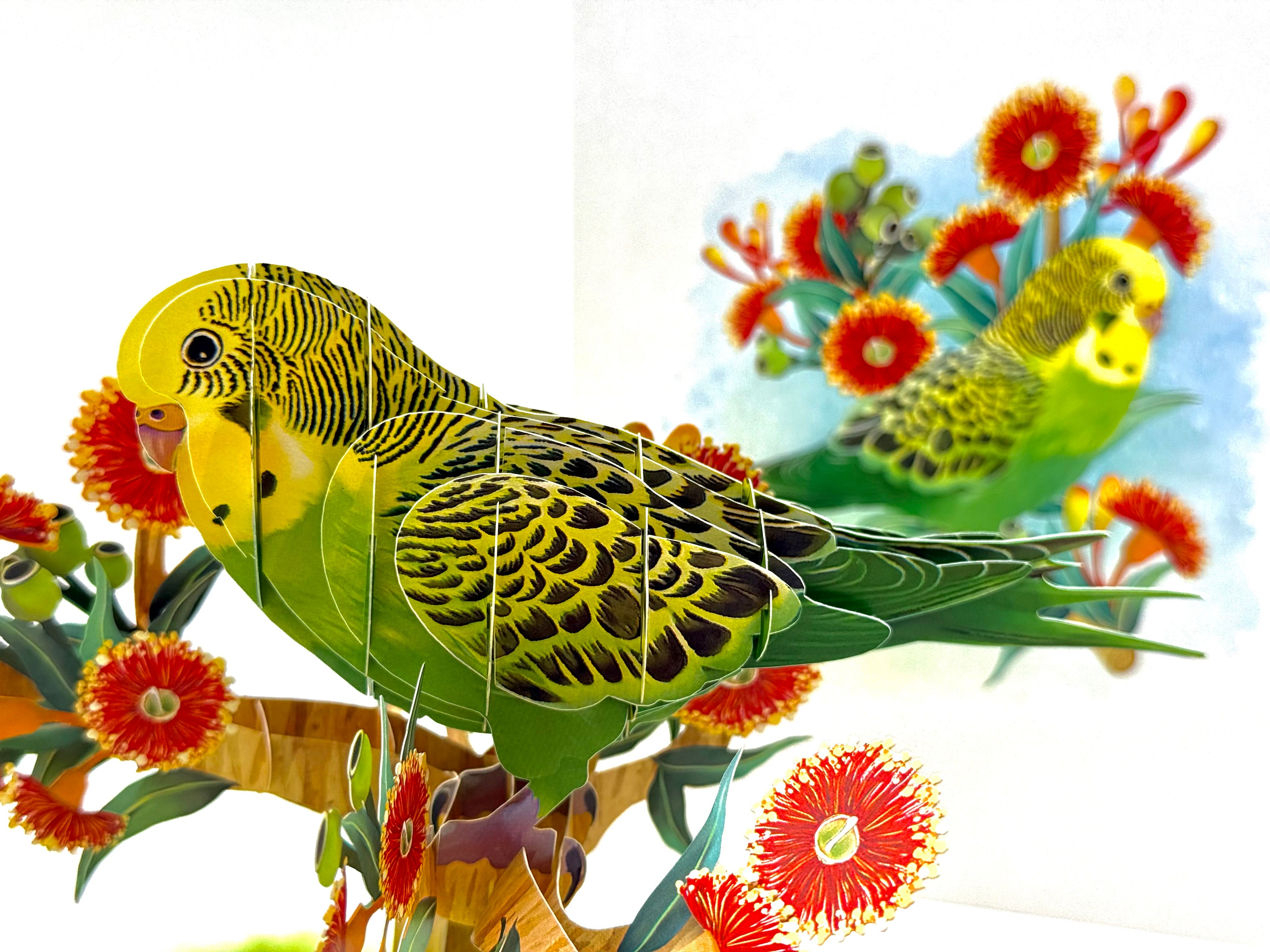 Green & Yellow Budgie with Australian Native Red Gumnut Blossoms Origami Pop Cards 3D Pop Up Greeting Card Celebrate Happy Birthday Thank You Handmade Best Wishes Thinking of You Blank Card Any Occasion Happy Mother's Day Happy Father's Day Australiana