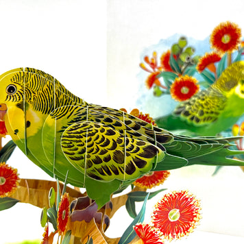 Green & Yellow Budgie with Australian Native Red Gumnut Blossoms Origami Pop Cards 3D Pop Up Greeting Card Celebrate Happy Birthday Thank You Handmade Best Wishes Thinking of You Blank Card Any Occasion Happy Mother's Day Happy Father's Day Australiana