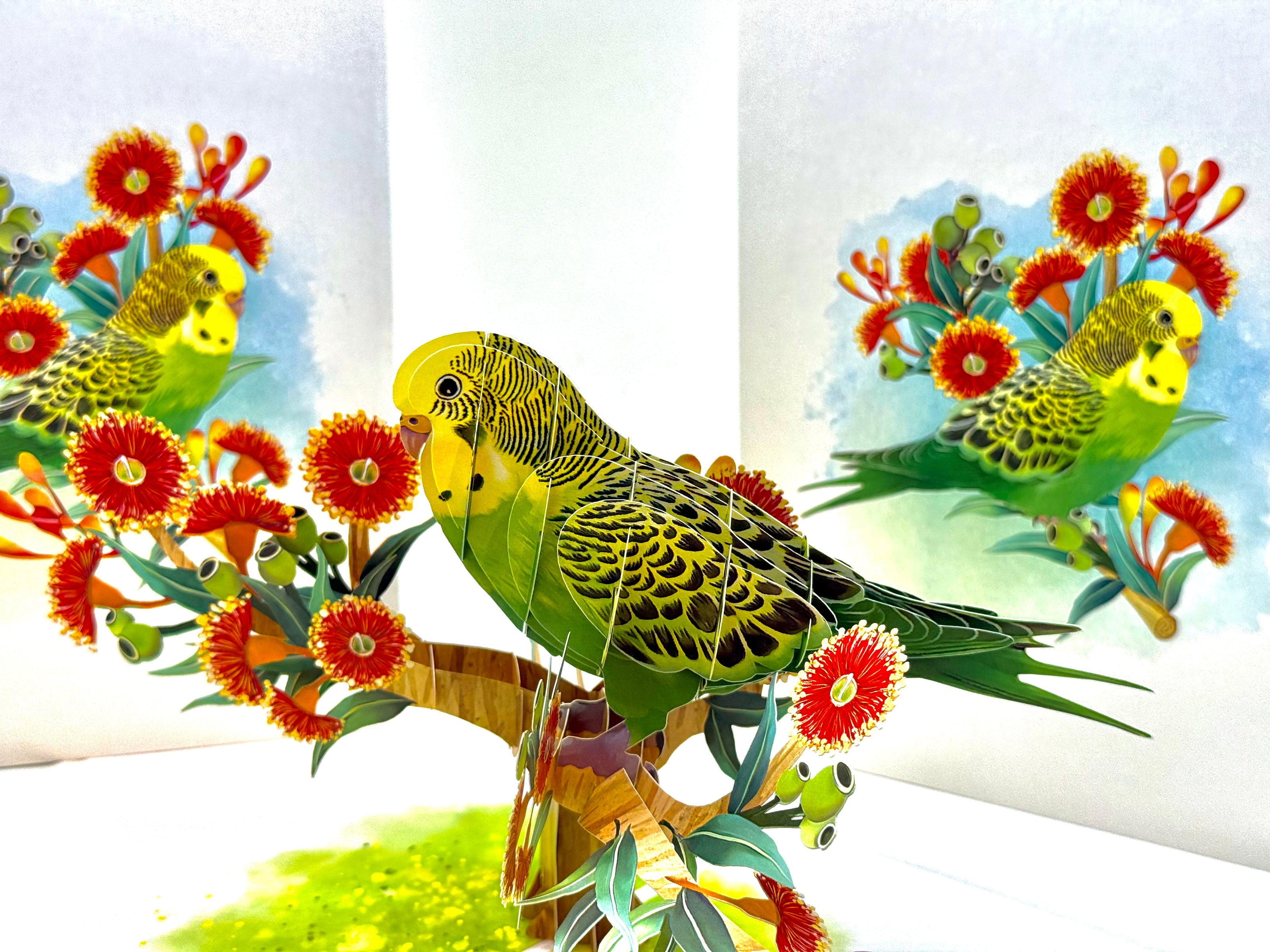 Green & Yellow Budgie with Australian Native Red Gumnut Blossoms Origami Pop Cards 3D Pop Up Greeting Card Celebrate Happy Birthday Thank You Handmade Best Wishes Thinking of You Blank Card Any Occasion Happy Mother's Day Happy Father's Day Australiana