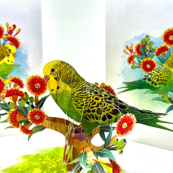 Green & Yellow Budgie with Australian Native Red Gumnut Blossoms Origami Pop Cards 3D Pop Up Greeting Card Celebrate Happy Birthday Thank You Handmade Best Wishes Thinking of You Blank Card Any Occasion Happy Mother's Day Happy Father's Day Australiana