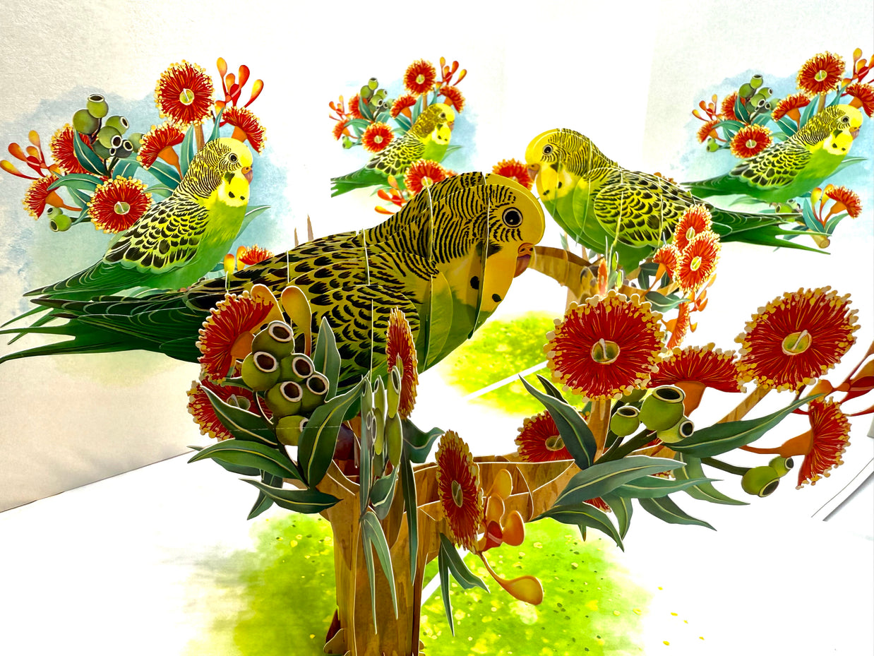 Green & Yellow Budgie with Australian Native Red Gumnut Blossoms Origami Pop Cards 3D Pop Up Greeting Card Celebrate Happy Birthday Thank You Handmade Best Wishes Thinking of You Blank Card Any Occasion Happy Mother's Day Happy Father's Day Australiana