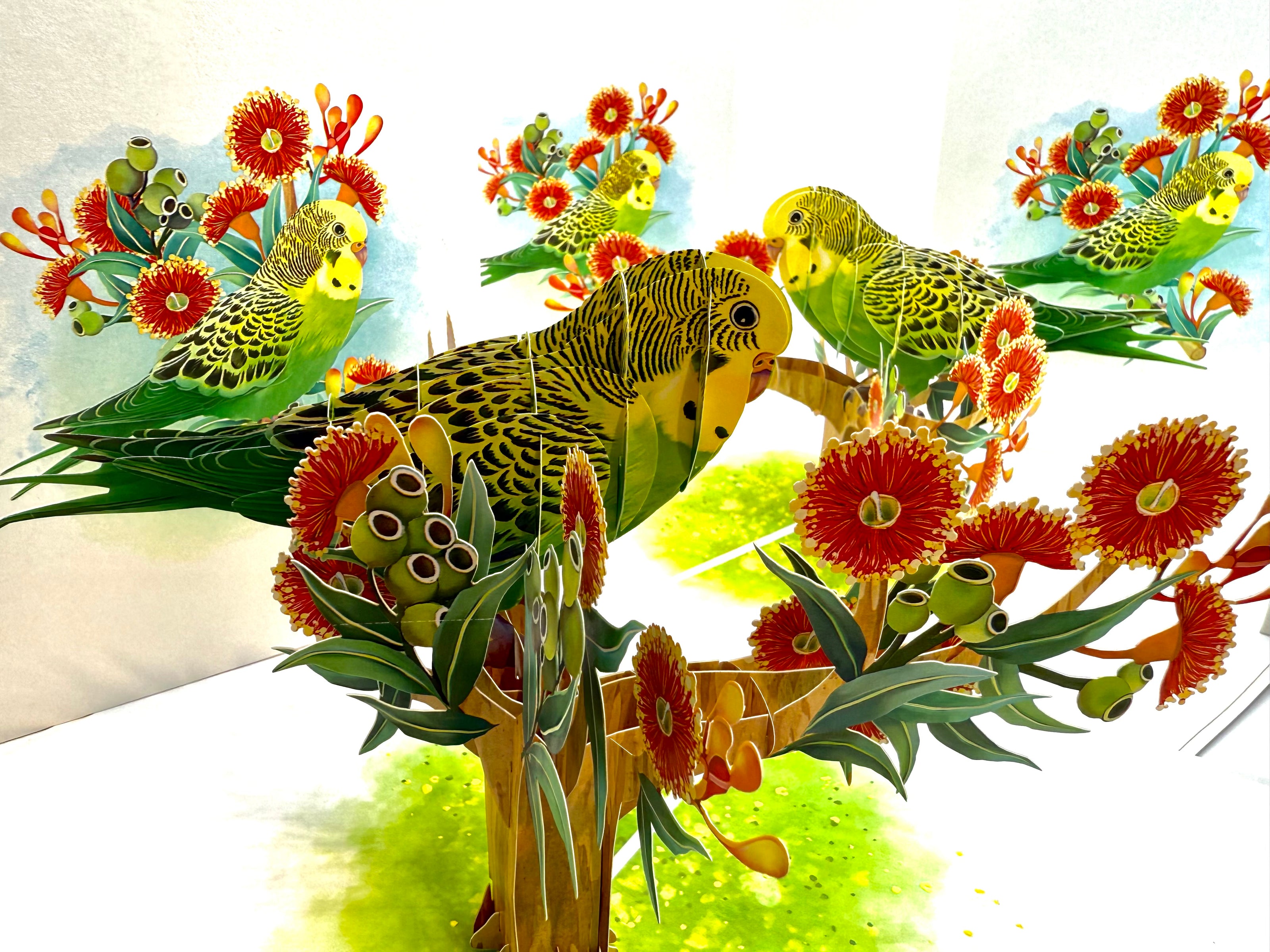 Green & Yellow Budgie with Australian Native Red Gumnut Blossoms Origami Pop Cards 3D Pop Up Greeting Card Celebrate Happy Birthday Thank You Handmade Best Wishes Thinking of You Blank Card Any Occasion Happy Mother's Day Happy Father's Day Australiana