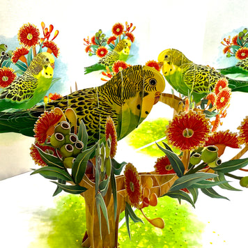 Green & Yellow Budgie with Australian Native Red Gumnut Blossoms Origami Pop Cards 3D Pop Up Greeting Card Celebrate Happy Birthday Thank You Handmade Best Wishes Thinking of You Blank Card Any Occasion Happy Mother's Day Happy Father's Day Australiana