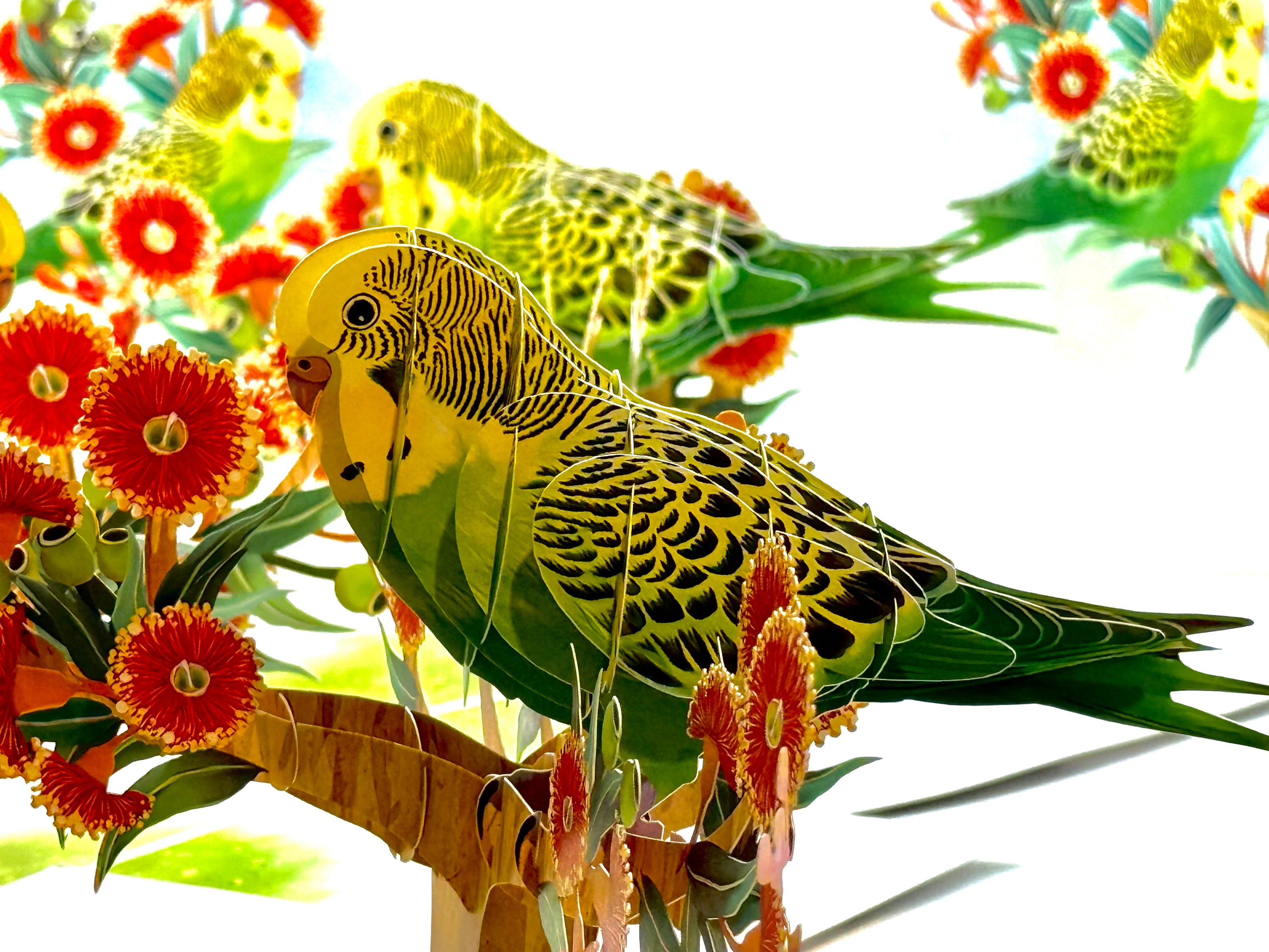 Green & Yellow Budgie with Australian Native Red Gumnut Blossoms Origami Pop Cards 3D Pop Up Greeting Card Celebrate Happy Birthday Thank You Handmade Best Wishes Thinking of You Blank Card Any Occasion Happy Mother's Day Happy Father's Day Australiana