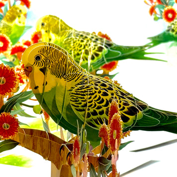 Green & Yellow Budgie with Australian Native Red Gumnut Blossoms Origami Pop Cards 3D Pop Up Greeting Card Celebrate Happy Birthday Thank You Handmade Best Wishes Thinking of You Blank Card Any Occasion Happy Mother's Day Happy Father's Day Australiana