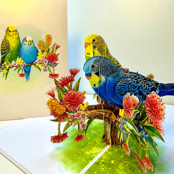 Green and Blue Budgie Parakeet Lovebirds - Our Third Most Popular Pet Origami Pop Cards 3D Pop Up Greeting Card Celebrate Happy Birthday Thank You Handmade Best Wishes Thinking of You Blank Card Any Occasion Happy Mother's Day Happy Father's Day