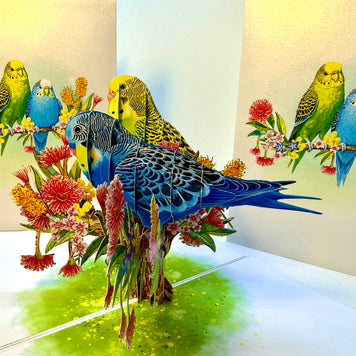 Green and Blue Budgie Parakeet Lovebirds - Our Third Most Popular Pet Origami Pop Cards 3D Pop Up Greeting Card Celebrate Happy Birthday Thank You Handmade Best Wishes Thinking of You Blank Card Any Occasion Happy Mother's Day Happy Father's Day