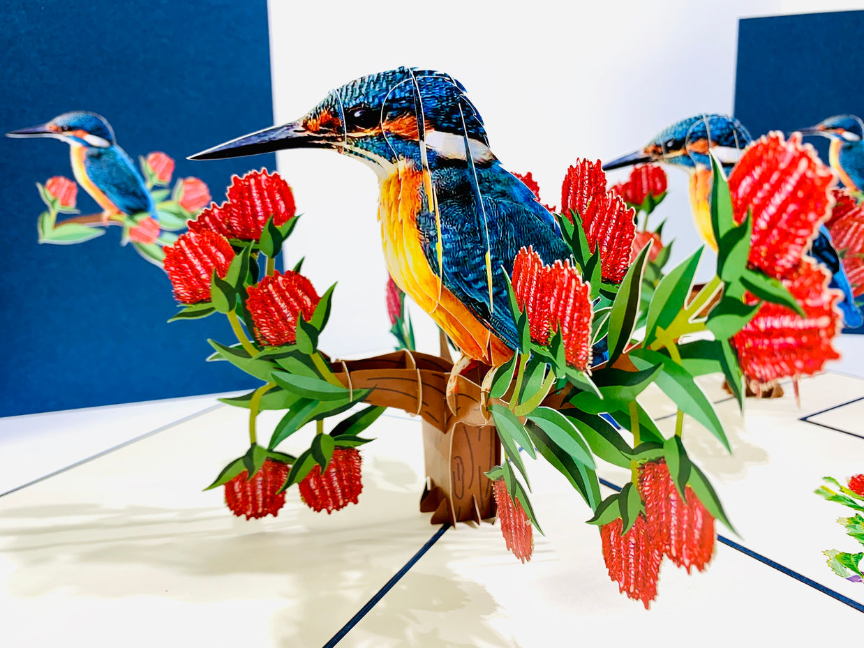 Happy Kingfisher Card - Beauty of Bird - Stands for Peace & Prosperity Origami Pop Cards 3D Pop Up Greeting Card Happy Birthday Thank You Handmade Gift Thinking of You Blank Card for Any Occasion Happy Mother's Day Happy Father's Australiana Birds