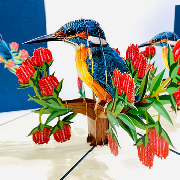 Happy Kingfisher Card - Beauty of Bird - Stands for Peace & Prosperity Origami Pop Cards 3D Pop Up Greeting Card Happy Birthday Thank You Handmade Gift Thinking of You Blank Card for Any Occasion Happy Mother's Day Happy Father's Australiana Birds