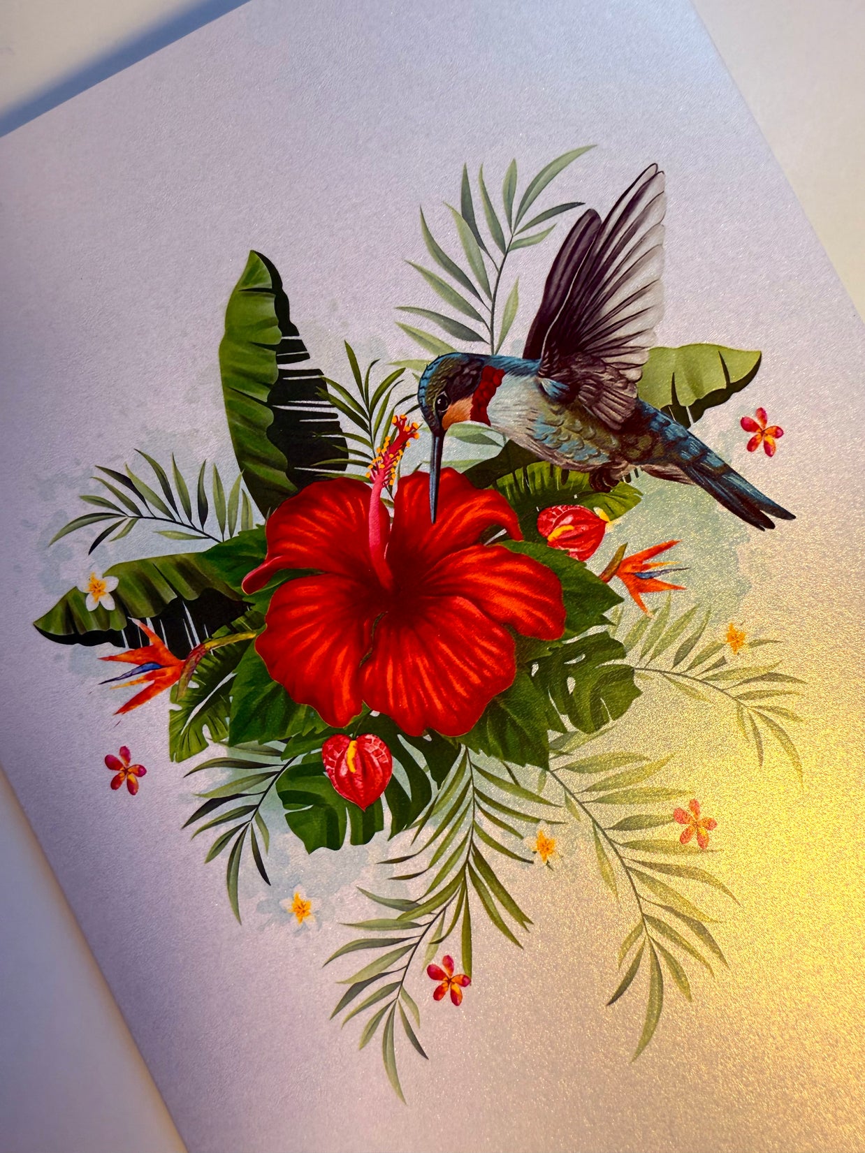 Hummingbird Attracting Red Hibiscus Flowers Origami Pop Cards 3D Pop Up Greeting Card Celebrate Happy Birthday Thank You Handmade Best Wishes Gift Thinking of You Blank Card for Any Occasion Happy Mother's Day Happy Father's Day Australiana Birds