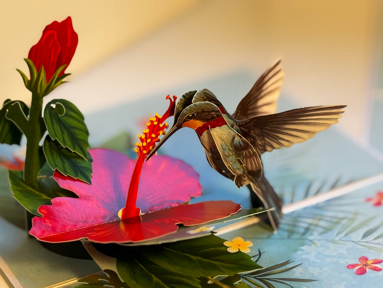 Hummingbird Attracting Red Hibiscus Flowers Origami Pop Cards 3D Pop Up Greeting Card Celebrate Happy Birthday Thank You Handmade Best Wishes Gift Thinking of You Blank Card for Any Occasion Happy Mother's Day Happy Father's Day Australiana Birds
