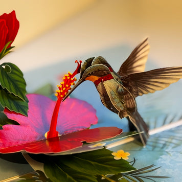 Hummingbird Attracting Red Hibiscus Flowers Origami Pop Cards 3D Pop Up Greeting Card Celebrate Happy Birthday Thank You Handmade Best Wishes Gift Thinking of You Blank Card for Any Occasion Happy Mother's Day Happy Father's Day Australiana Birds
