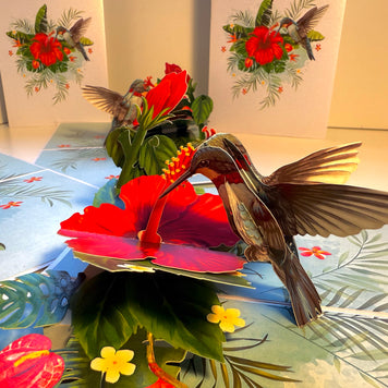 Hummingbird Attracting Red Hibiscus Flowers Origami Pop Cards 3D Pop Up Greeting Card Celebrate Happy Birthday Thank You Handmade Best Wishes Gift Thinking of You Blank Card for Any Occasion Happy Mother's Day Happy Father's Day Australiana Birds