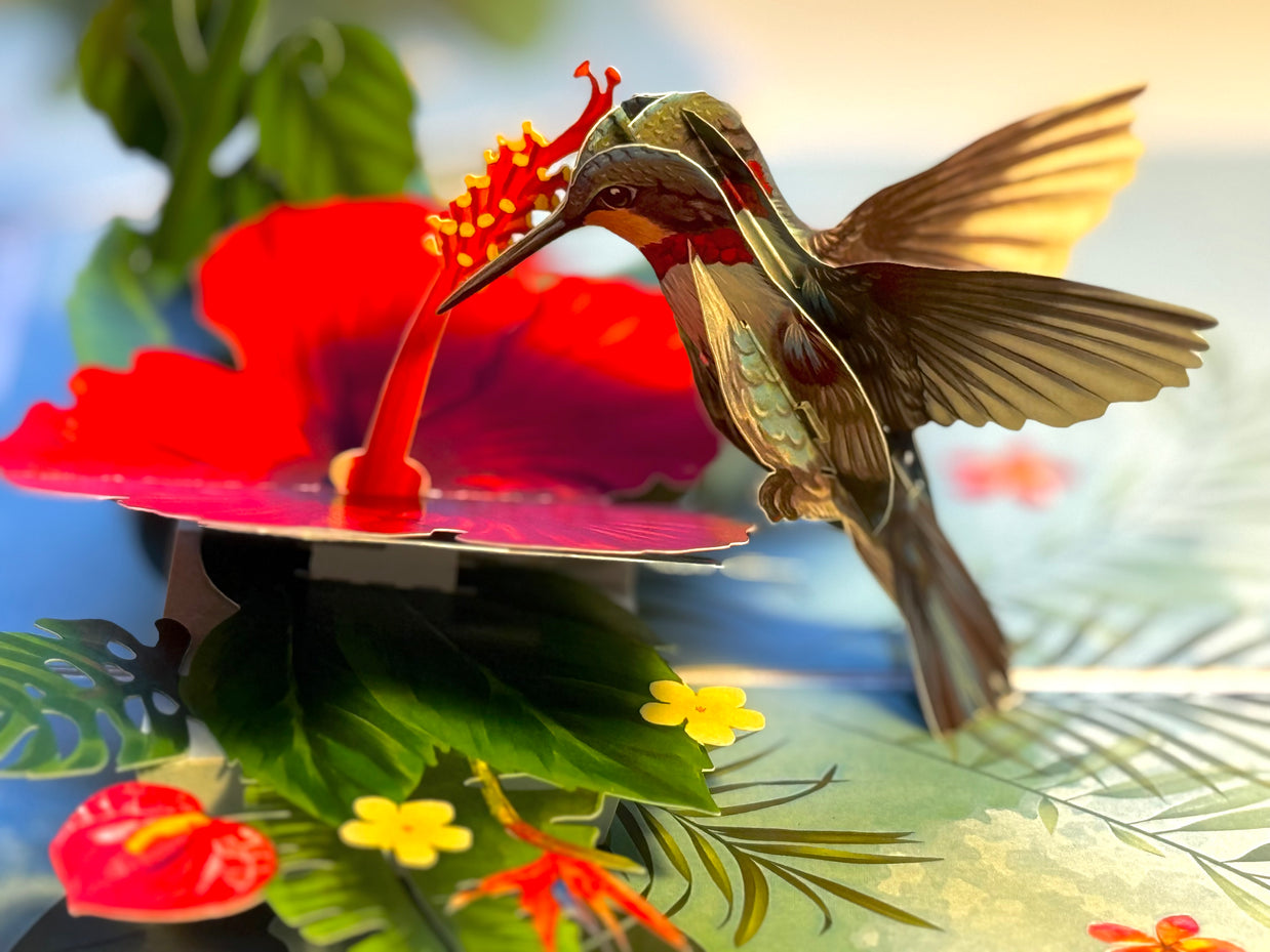 Hummingbird Attracting Red Hibiscus Flowers Origami Pop Cards 3D Pop Up Greeting Card Celebrate Happy Birthday Thank You Handmade Best Wishes Gift Thinking of You Blank Card for Any Occasion Happy Mother's Day Happy Father's Day Australiana Birds