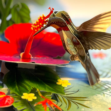Hummingbird Attracting Red Hibiscus Flowers Origami Pop Cards 3D Pop Up Greeting Card Celebrate Happy Birthday Thank You Handmade Best Wishes Gift Thinking of You Blank Card for Any Occasion Happy Mother's Day Happy Father's Day Australiana Birds