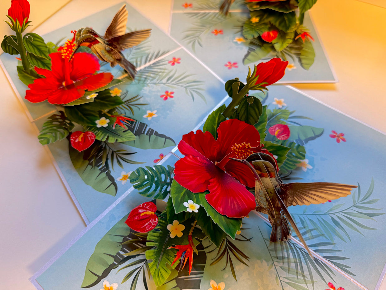 Hummingbird Attracting Red Hibiscus Flowers Origami Pop Cards 3D Pop Up Greeting Card Celebrate Happy Birthday Thank You Handmade Best Wishes Gift Thinking of You Blank Card for Any Occasion Happy Mother's Day Happy Father's Day Australiana Birds