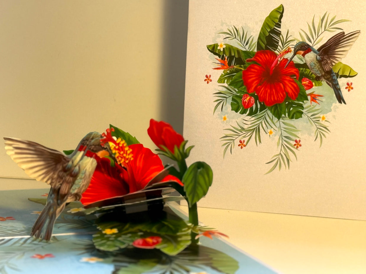 Hummingbird Attracting Red Hibiscus Flowers Origami Pop Cards 3D Pop Up Greeting Card Celebrate Happy Birthday Thank You Handmade Best Wishes Gift Thinking of You Blank Card for Any Occasion Happy Mother's Day Happy Father's Day Australiana Birds