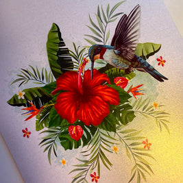 Hummingbird Attracting Red Hibiscus Flowers Origami Pop Cards 3D Pop Up Greeting Card Celebrate Happy Birthday Thank You Handmade Best Wishes Gift Thinking of You Blank Card for Any Occasion Happy Mother's Day Happy Father's Day Australiana Birds