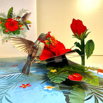 Hummingbird Attracting Red Hibiscus Flowers Origami Pop Cards 3D Pop Up Greeting Card Celebrate Happy Birthday Thank You Handmade Best Wishes Gift Thinking of You Blank Card for Any Occasion Happy Mother's Day Happy Father's Day Australiana Birds