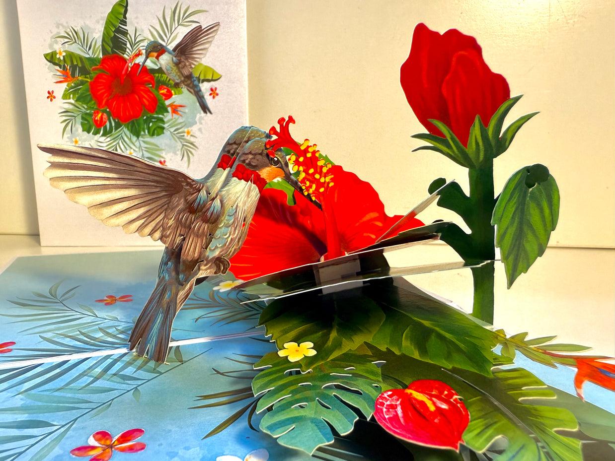 Hummingbird Attracting Red Hibiscus Flowers Origami Pop Cards 3D Pop Up Greeting Card Celebrate Happy Birthday Thank You Handmade Best Wishes Gift Thinking of You Blank Card for Any Occasion Happy Mother's Day Happy Father's Day Australiana Birds