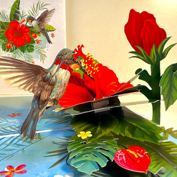 Hummingbird Attracting Red Hibiscus Flowers Origami Pop Cards 3D Pop Up Greeting Card Celebrate Happy Birthday Thank You Handmade Best Wishes Gift Thinking of You Blank Card for Any Occasion Happy Mother's Day Happy Father's Day Australiana Birds