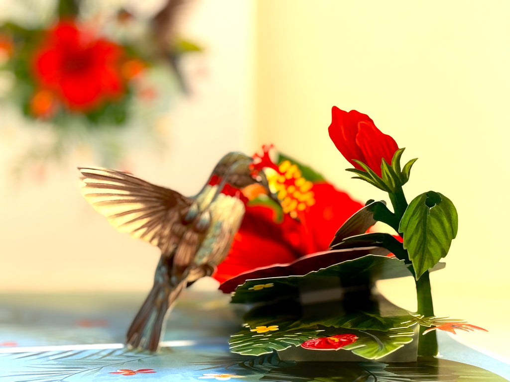 Hummingbird Attracting Red Hibiscus Flowers Origami Pop Cards 3D Pop Up Greeting Card Celebrate Happy Birthday Thank You Handmade Best Wishes Gift Thinking of You Blank Card for Any Occasion Happy Mother's Day Happy Father's Day Australiana Birds