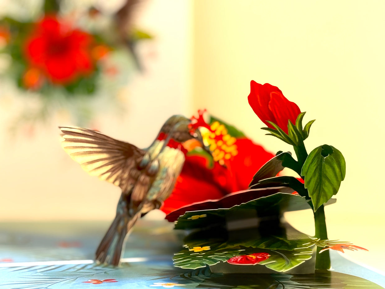 Hummingbird Attracting Red Hibiscus Flowers Origami Pop Cards 3D Pop Up Greeting Card Celebrate Happy Birthday Thank You Handmade Best Wishes Gift Thinking of You Blank Card for Any Occasion Happy Mother's Day Happy Father's Day Australiana Birds