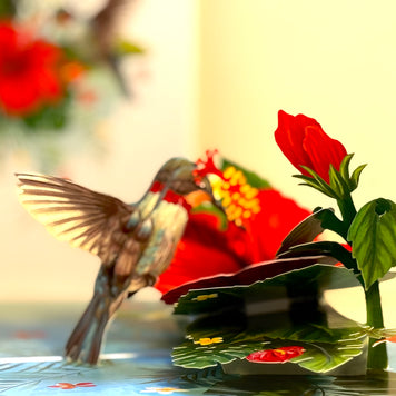 Hummingbird Attracting Red Hibiscus Flowers Origami Pop Cards 3D Pop Up Greeting Card Celebrate Happy Birthday Thank You Handmade Best Wishes Gift Thinking of You Blank Card for Any Occasion Happy Mother's Day Happy Father's Day Australiana Birds