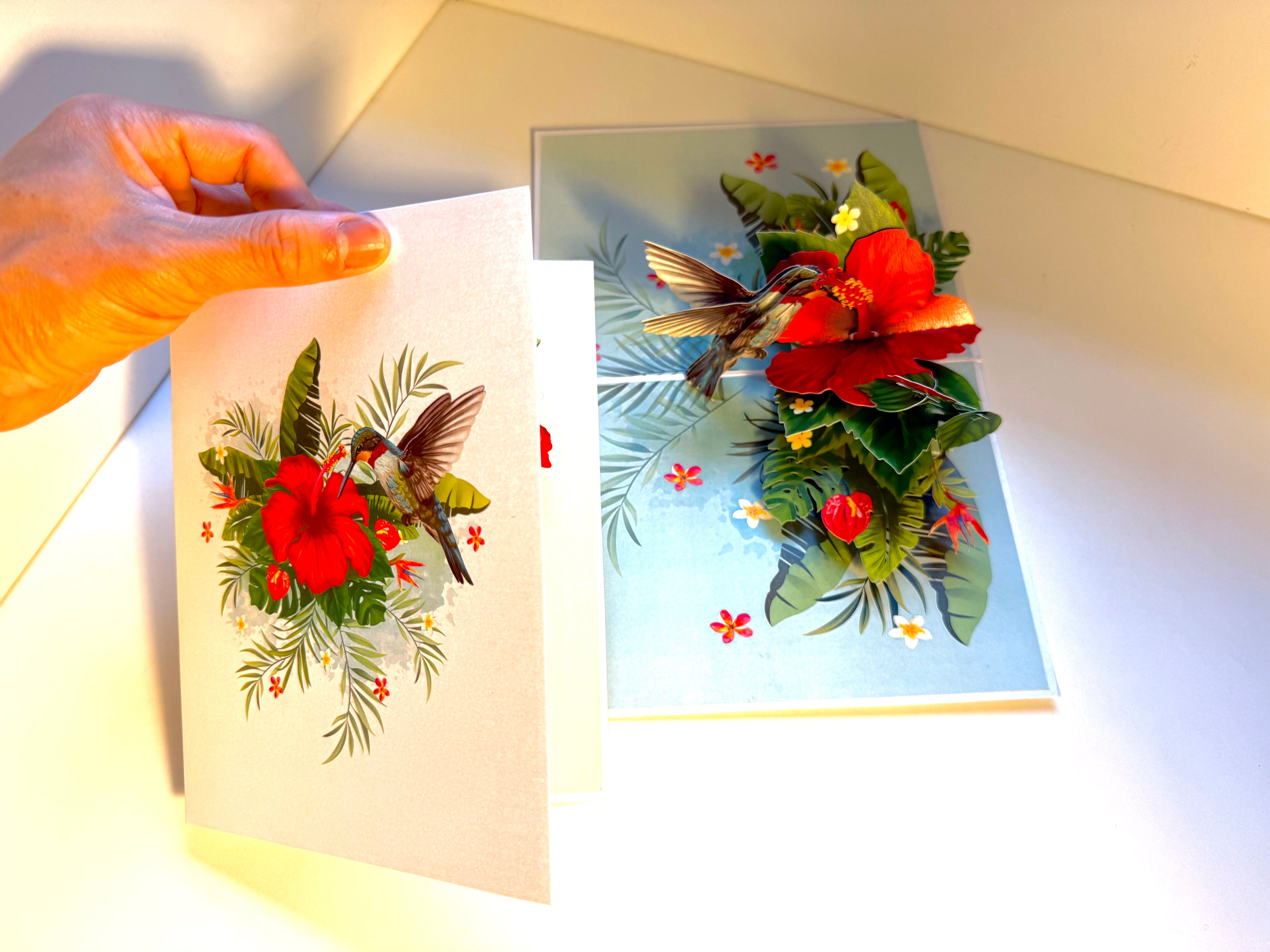 Hummingbird Attracting Red Hibiscus Flowers Origami Pop Cards 3D Pop Up Greeting Card Celebrate Happy Birthday Thank You Handmade Best Wishes Gift Thinking of You Blank Card for Any Occasion Happy Mother's Day Happy Father's Day Australiana Birds