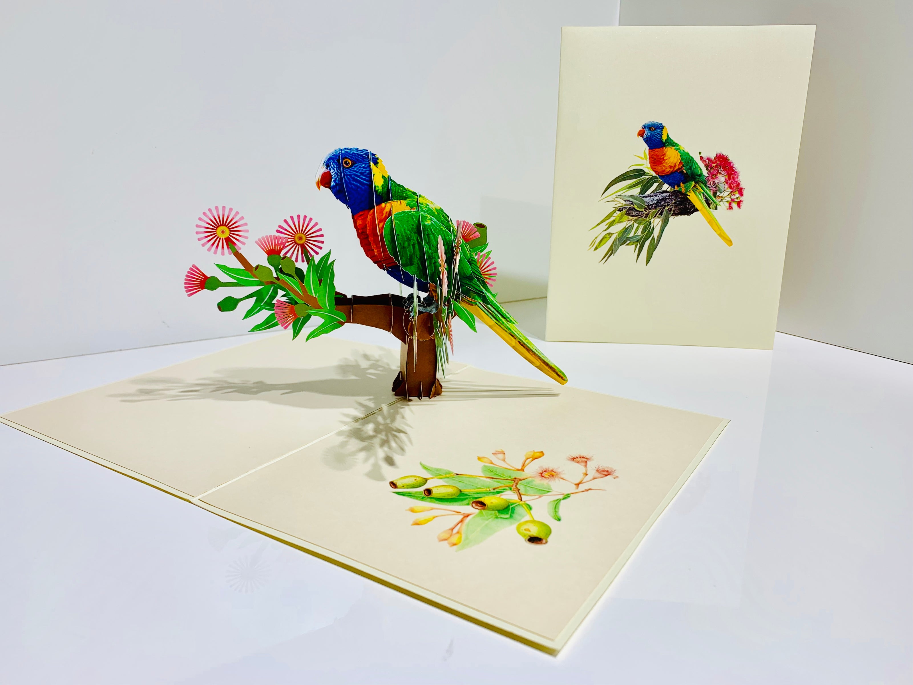 Rainbow Lorikeet Parrot Australian Bird with Native Gum Pink Blossom Wildflower Origami Pop Cards 3D Pop Up Greeting Card Happy Birthday Thank You Handmade Gift Thinking of You Blank Card for Any Occasion Happy Mother's Day Happy Father's